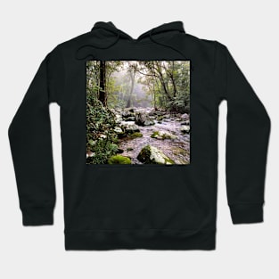 Misty Mountain Stream Hoodie